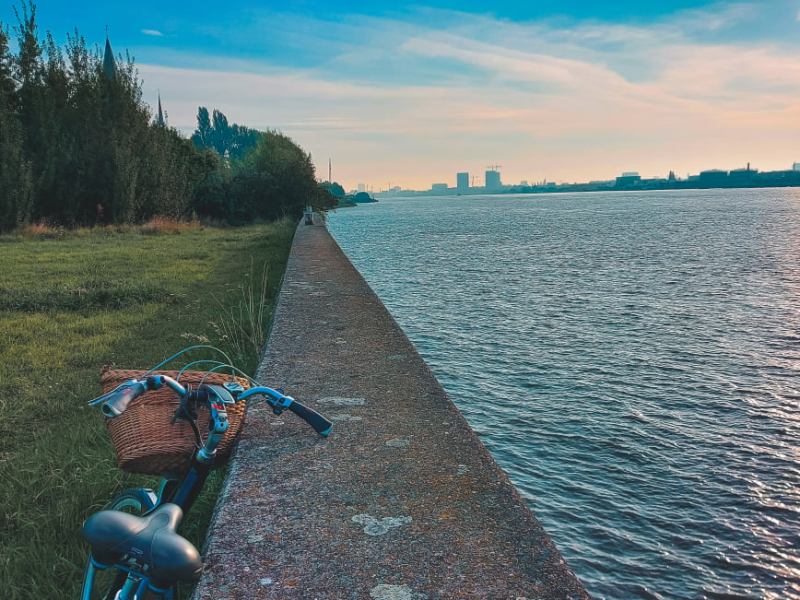 Terug op de&nbsp;schoolbanken